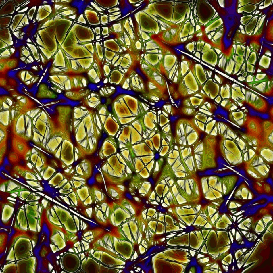 Definitional Starting Points: Word2vec and Convolutional Neural Network