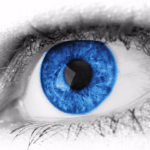 Merger and Acquisition Due Diligence: Incorporating Privacy, Security, eDiscovery, and Information Governance into Due Diligence
