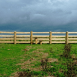 The Boundary Layer Between Law and Technology in the Connected Society