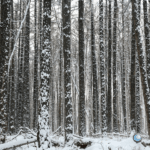 From Big Data to Big Business: The Winter 2018 eDiscovery Business Confidence Survey